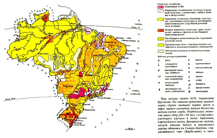 Реферат: Внешнеэкономические связи Бразилии